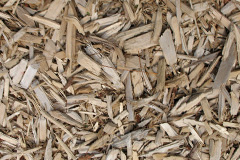 biomass boilers Ilam